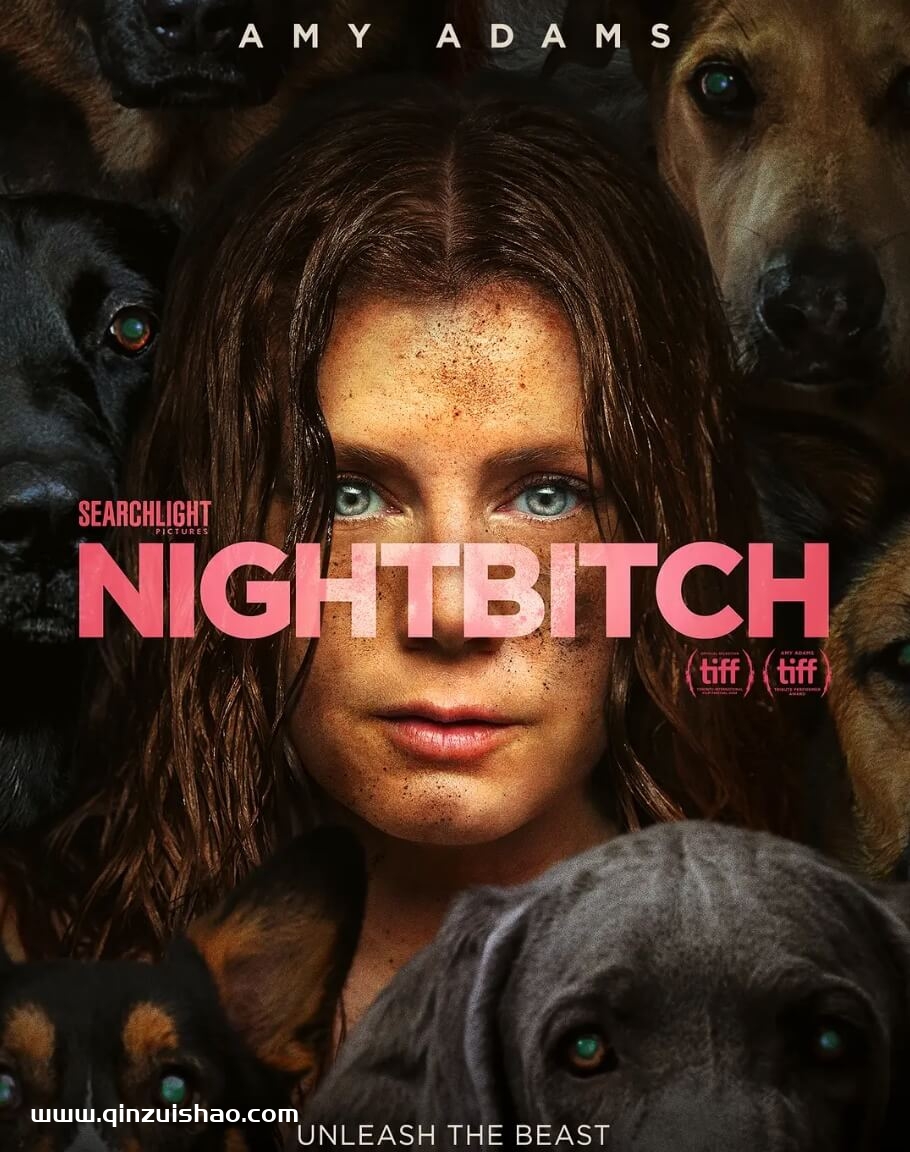 《夜母》Nightbitch 1080P 超高清电影视频网盘下载