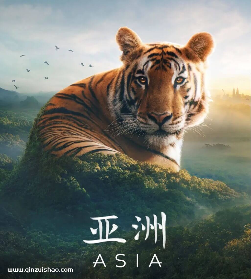 《亚洲》Asia 全7集 4K 超高清视频国英双语双字网盘下载